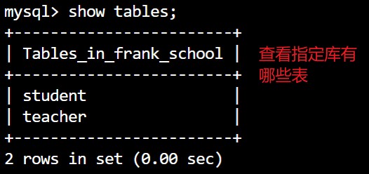 看有哪些表