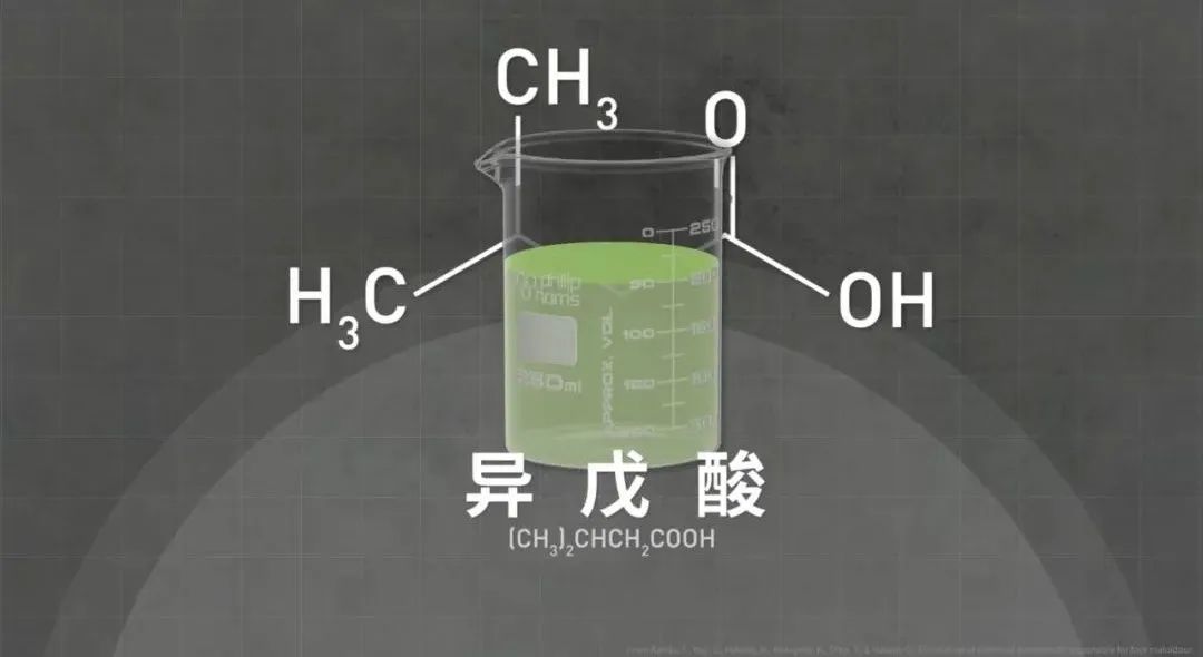 Vol/Vol.129 为什么你的脚这么臭/4.jpeg