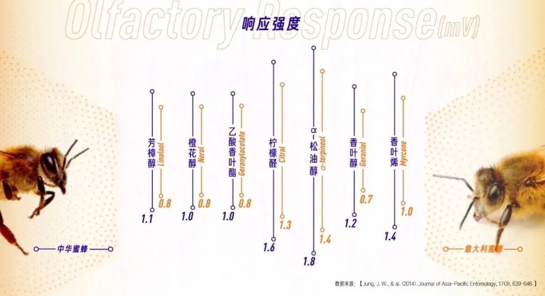 Vol/Vol.135 养蜂致富指南/4.jpeg