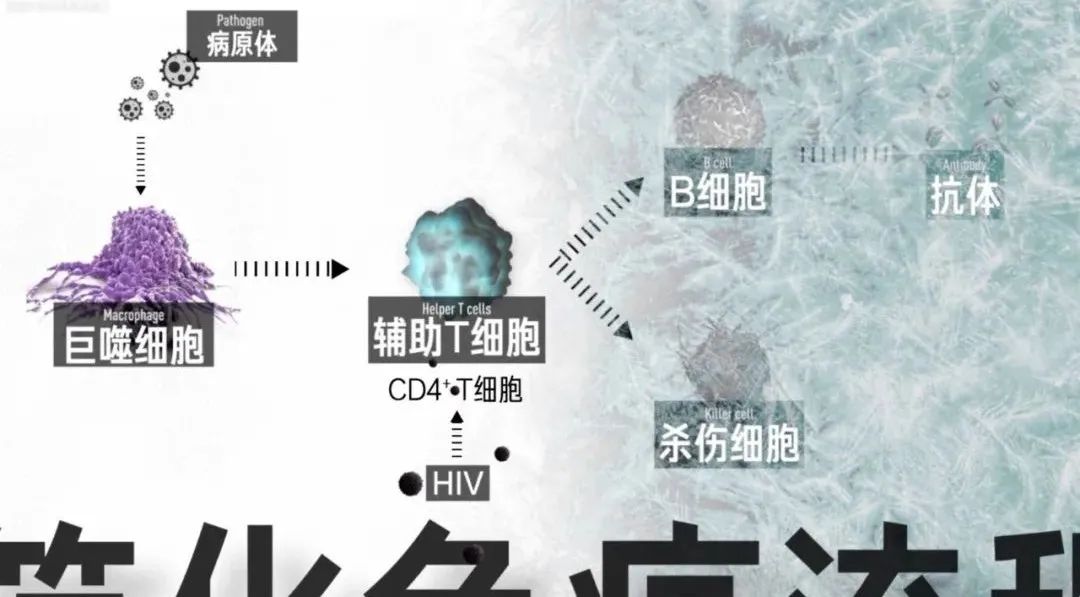 Vol/Vol.145 HIV 自救指南/5.jpeg