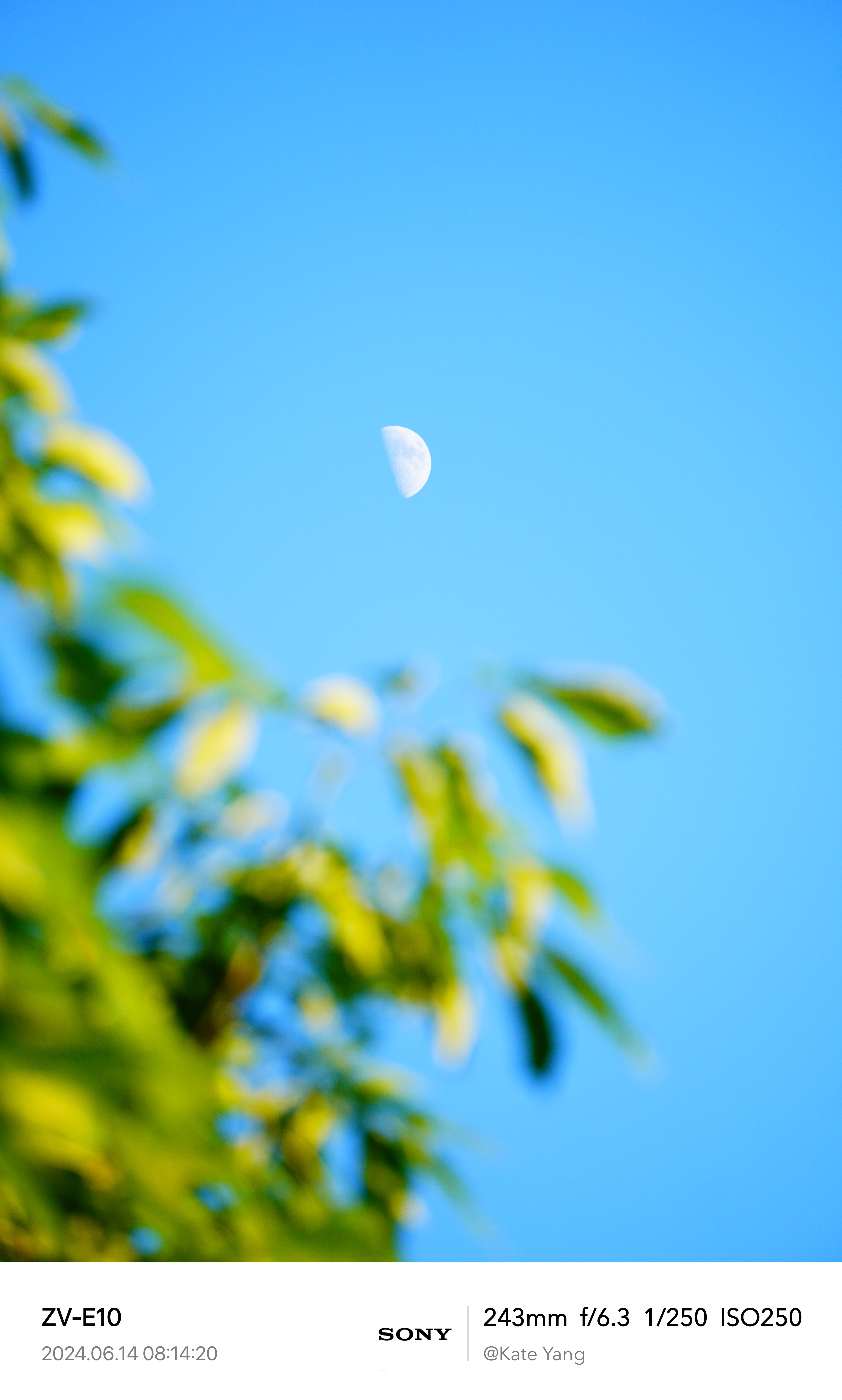 Evening Moon 1