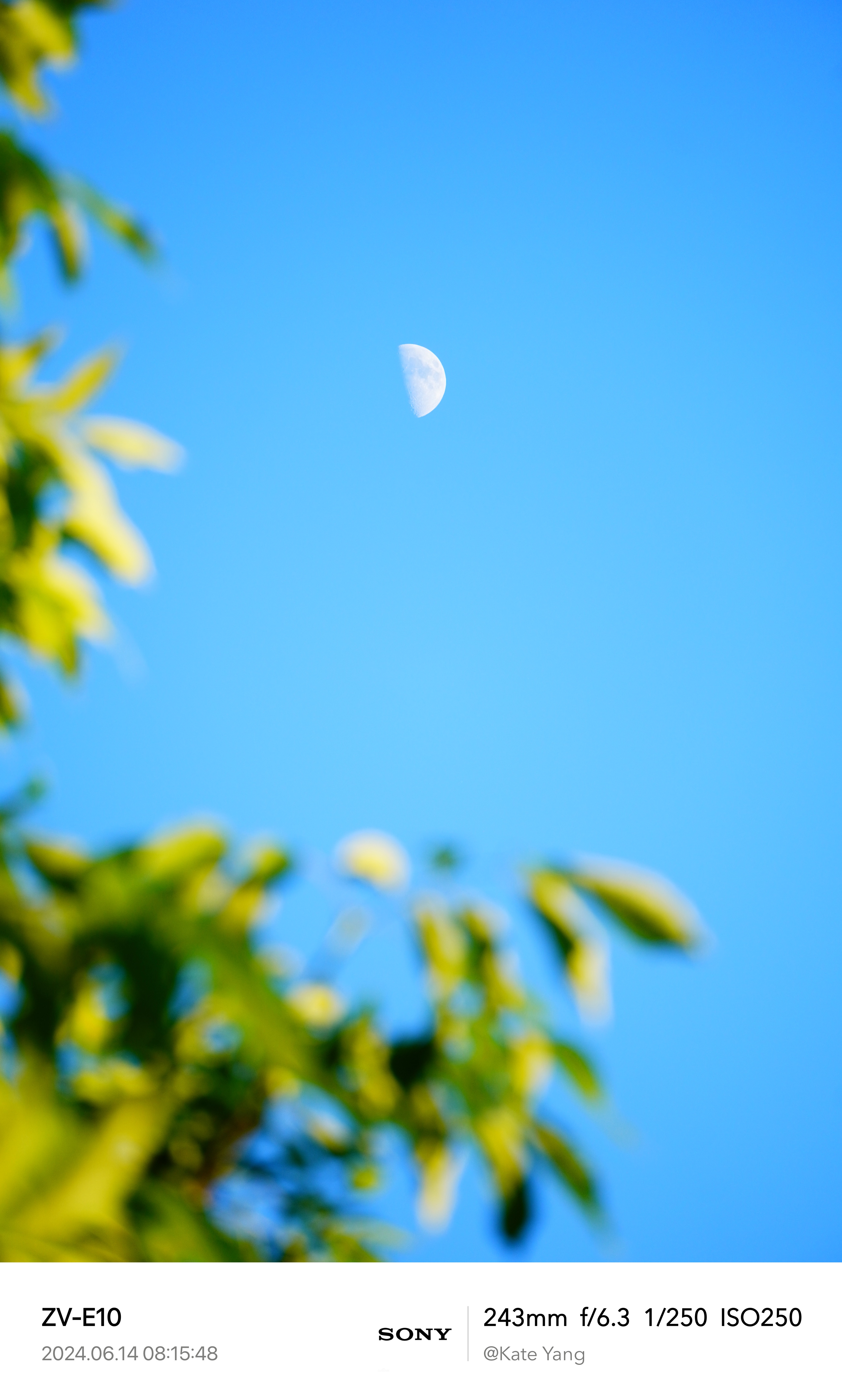 Evening Moon 2