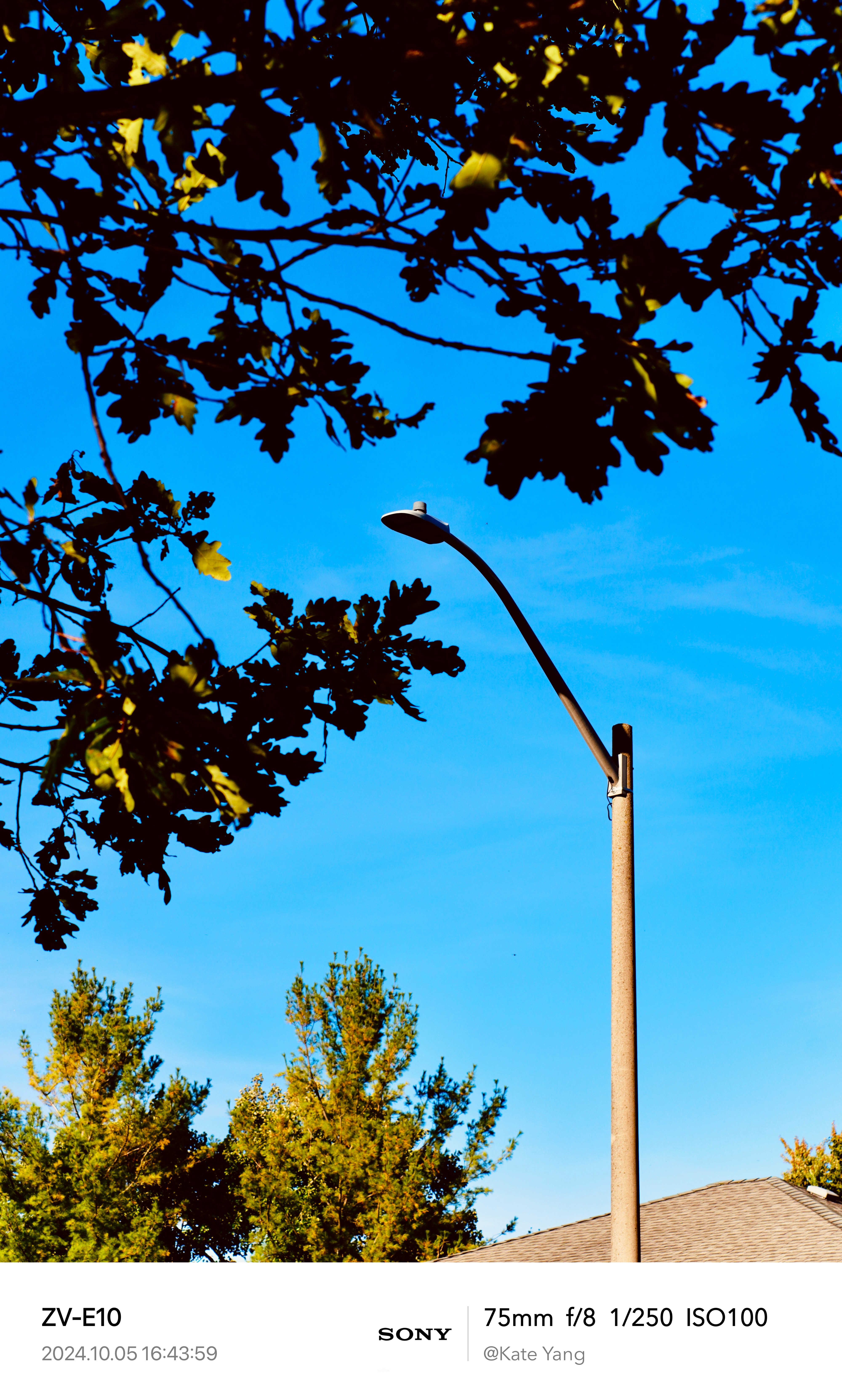 Autumn 1