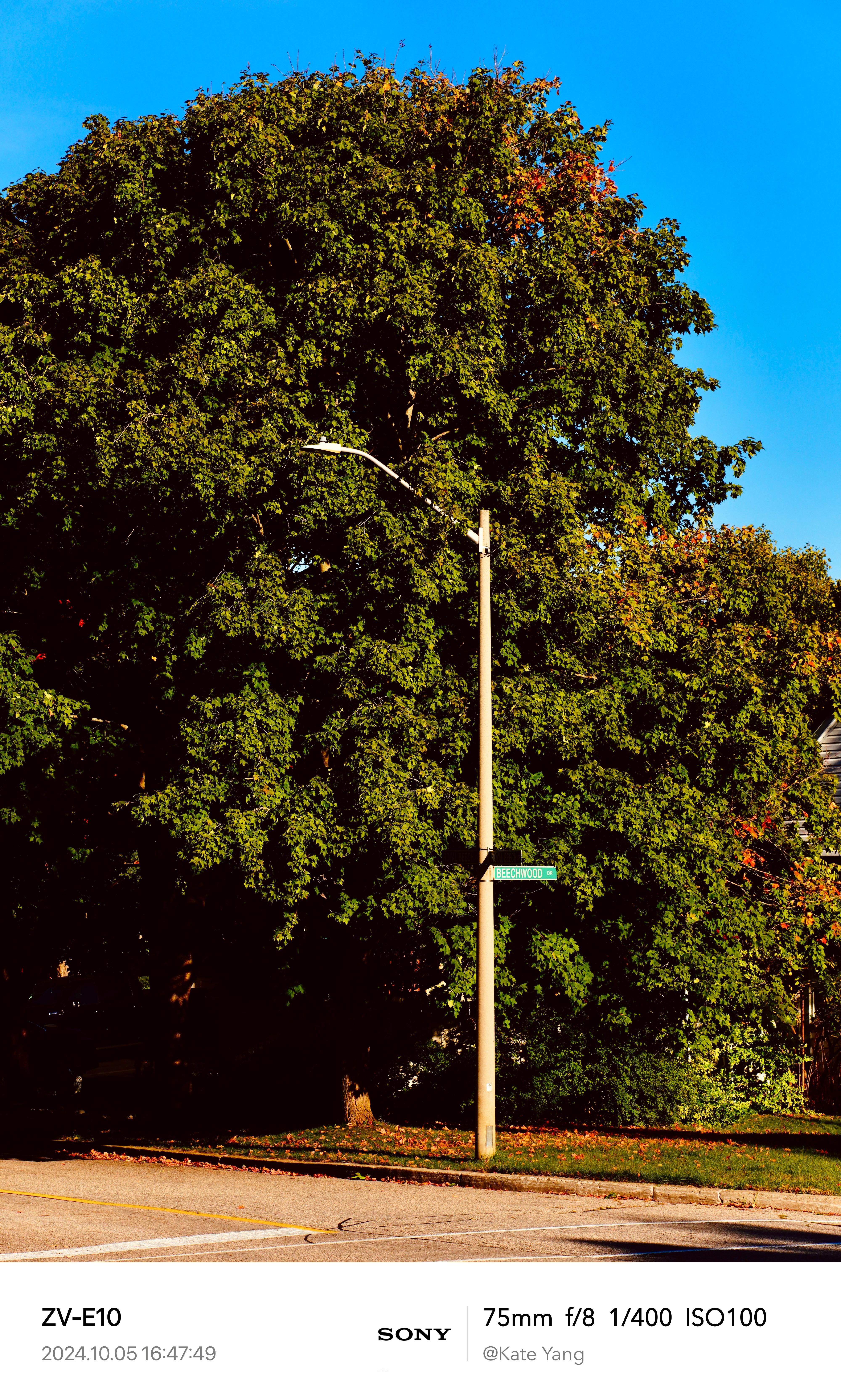 Autumn 3