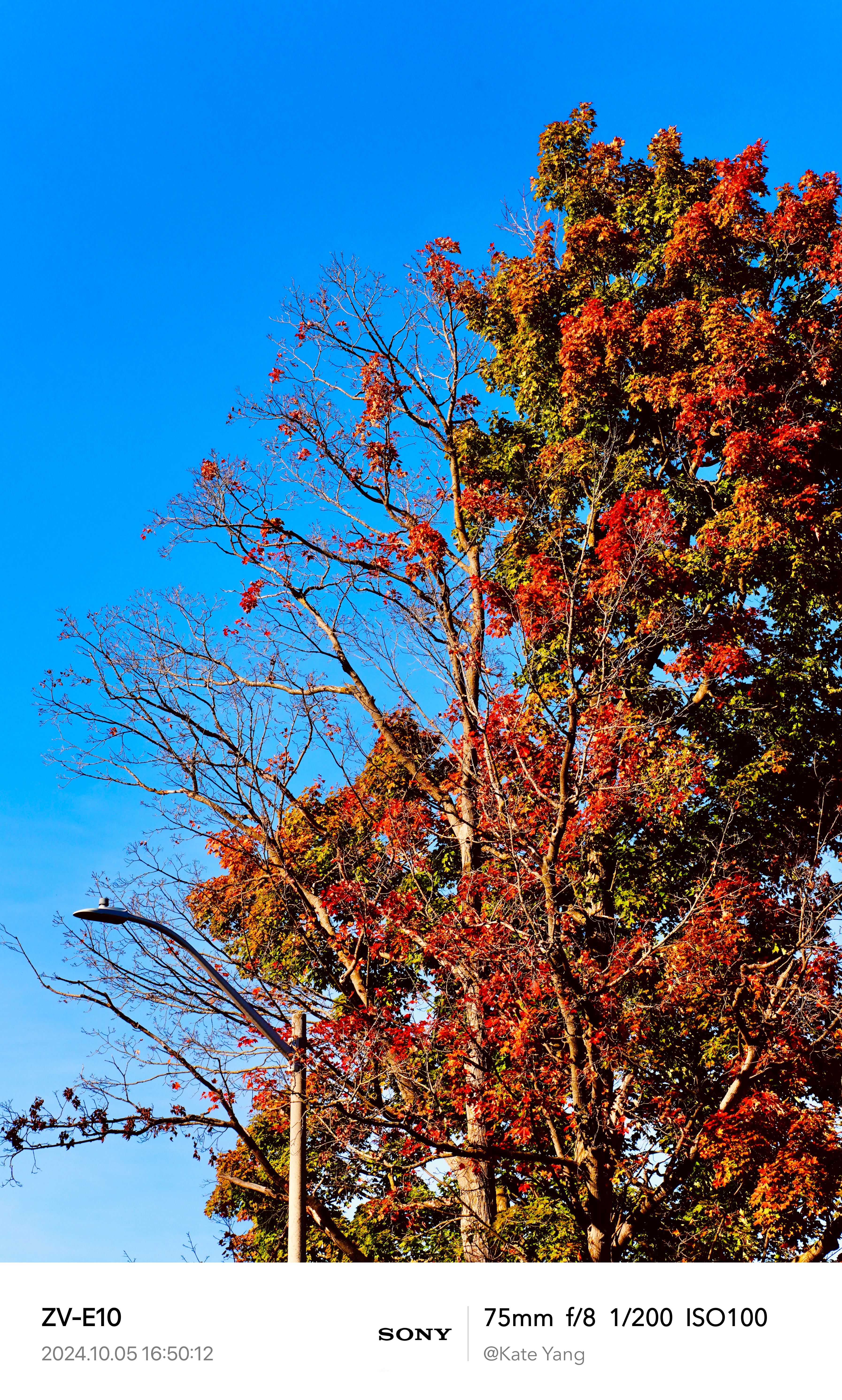 Autumn 4