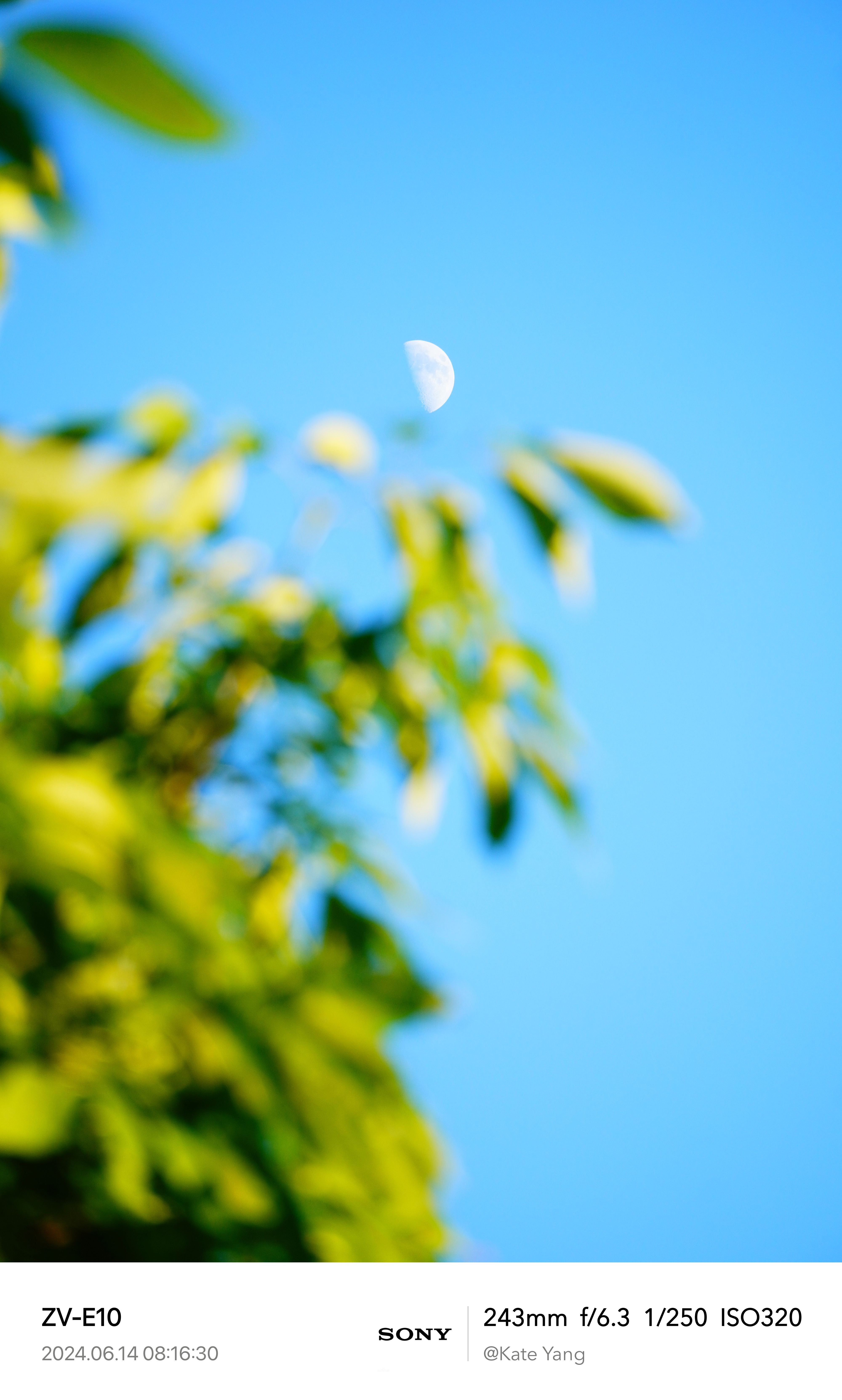 Evening Moon 3