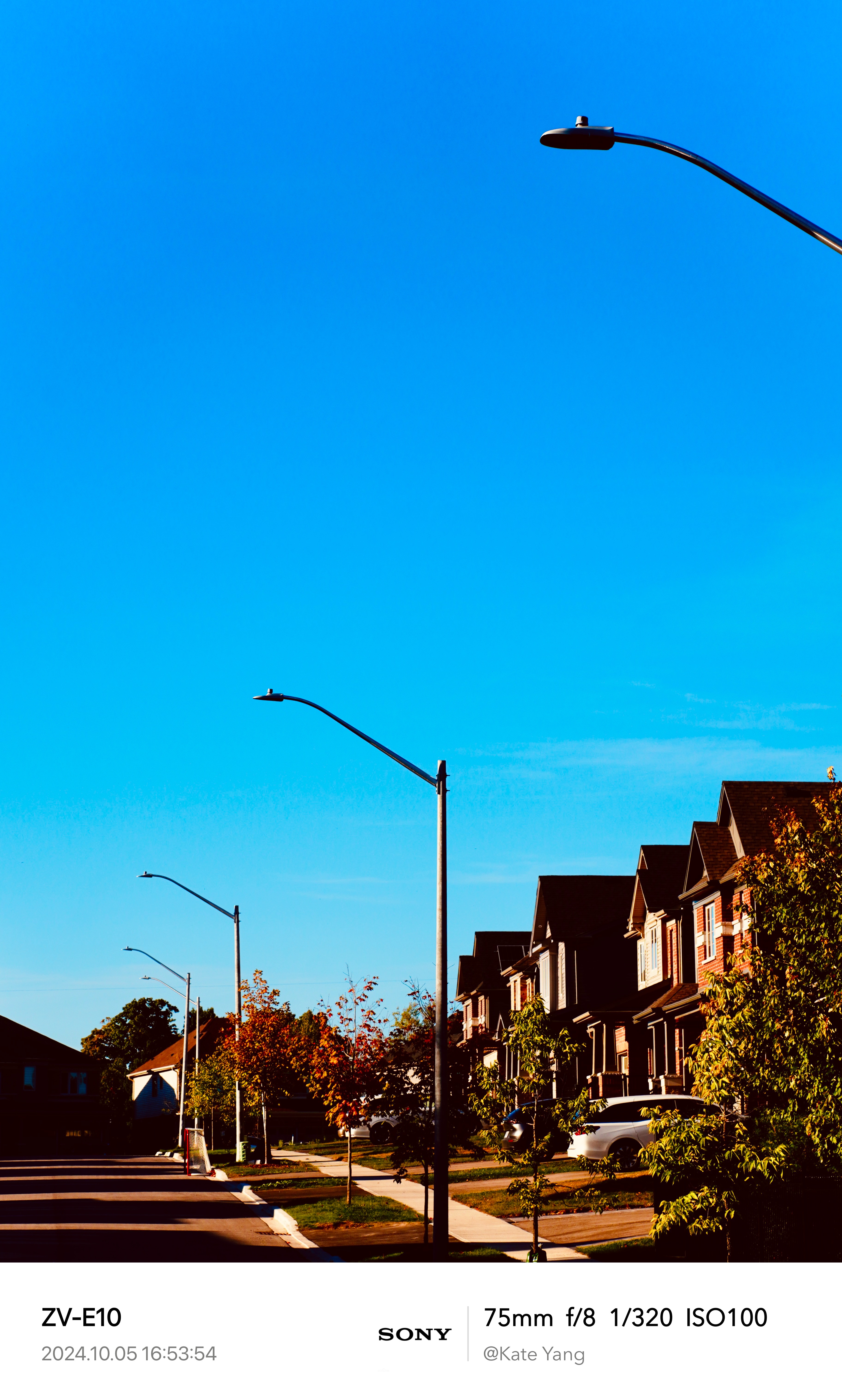 Autumn 6