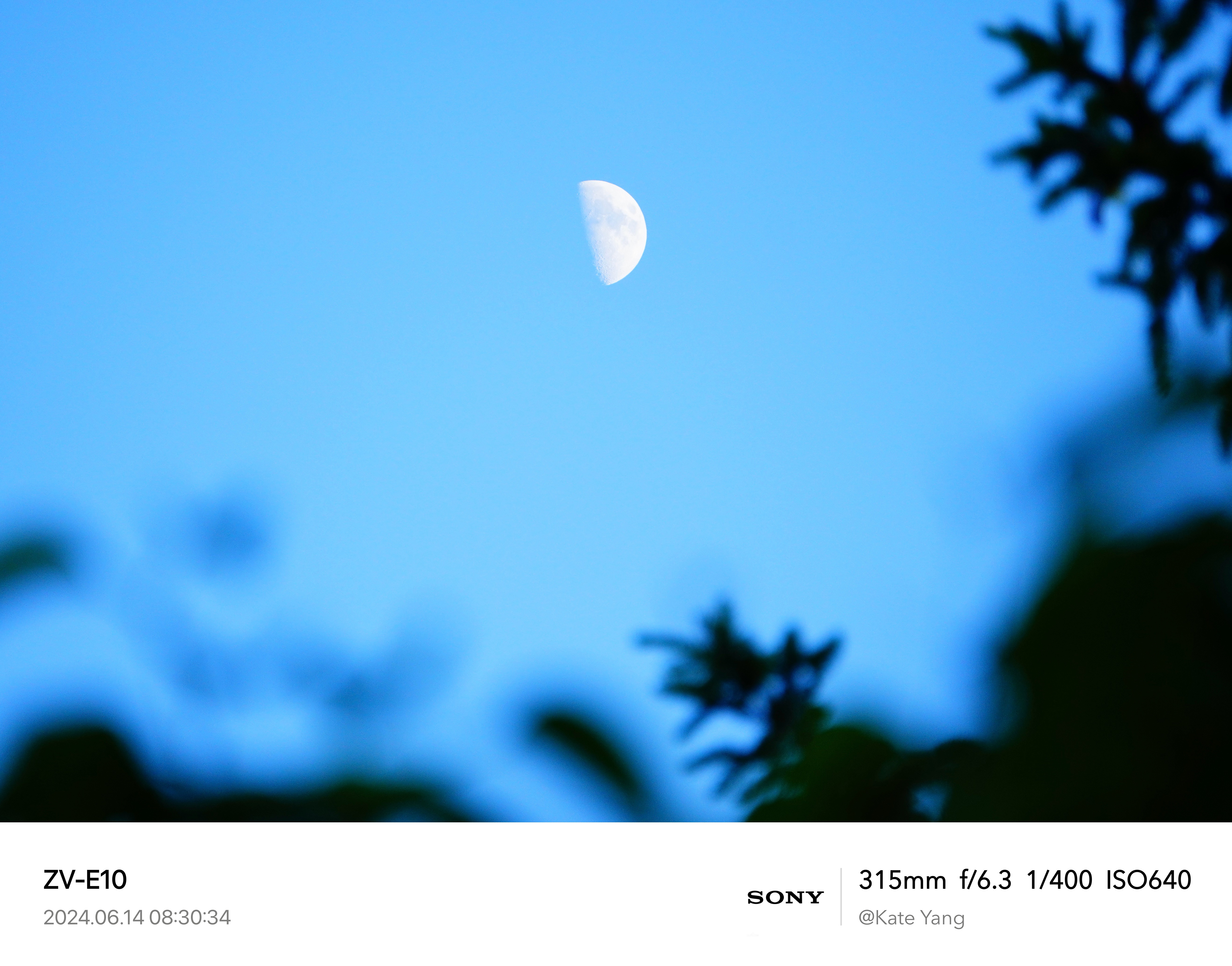 Evening Moon 4