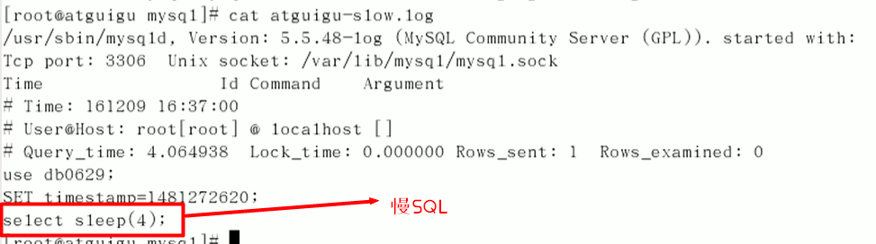 1596190235561