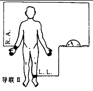 image-20241015135313628