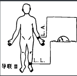 image-20241015135457425