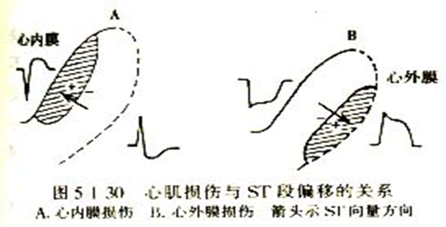 image-20241023113549037