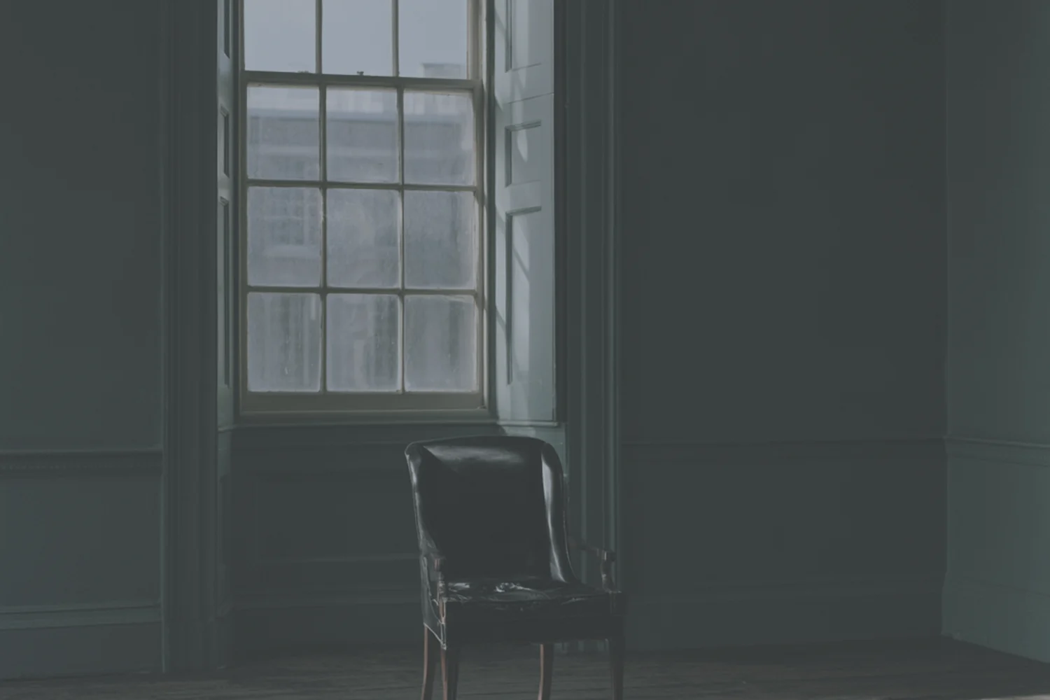 Ungraded photograph