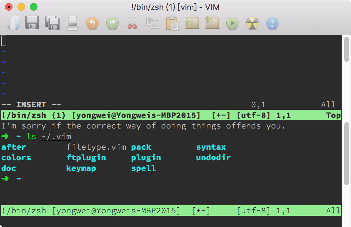 开了两个终端窗口的Vim，其中上面那个又再次运行Vim