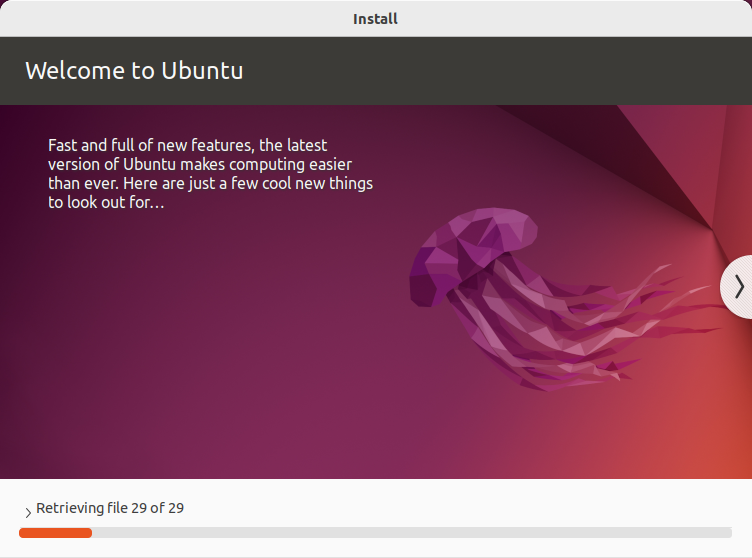 Ubuntu Installation - Installing