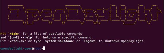 ODL routed rpc 失败返回问题