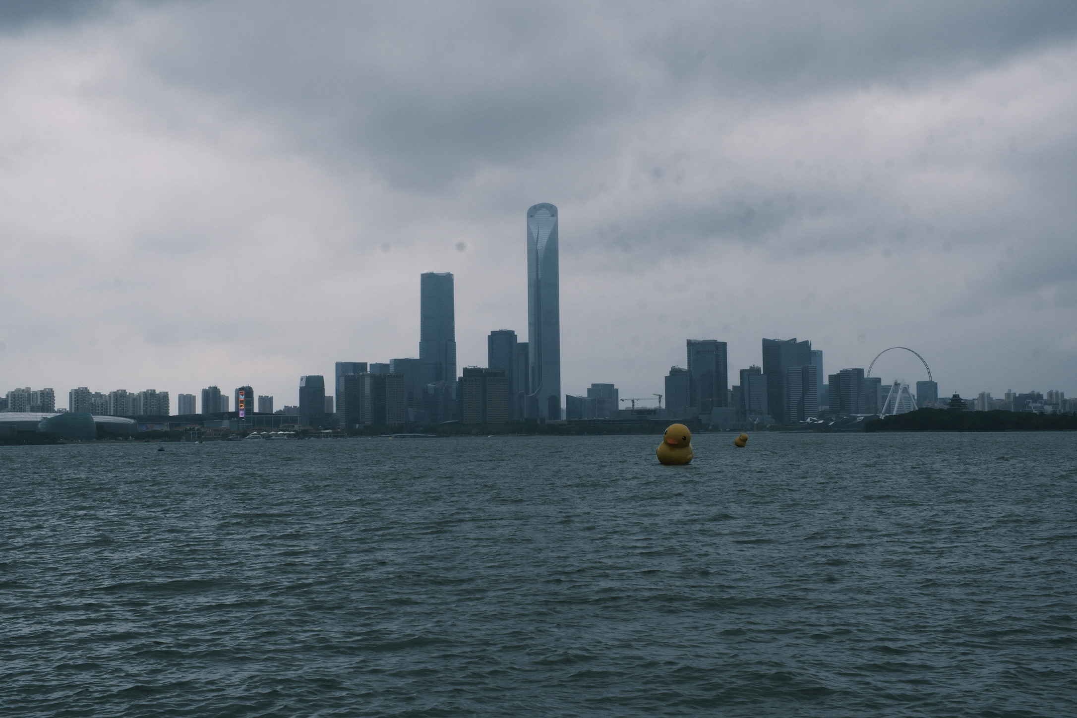 0285C9A9-BC6B-417D-BC04-F7696627EE27_1_102_o