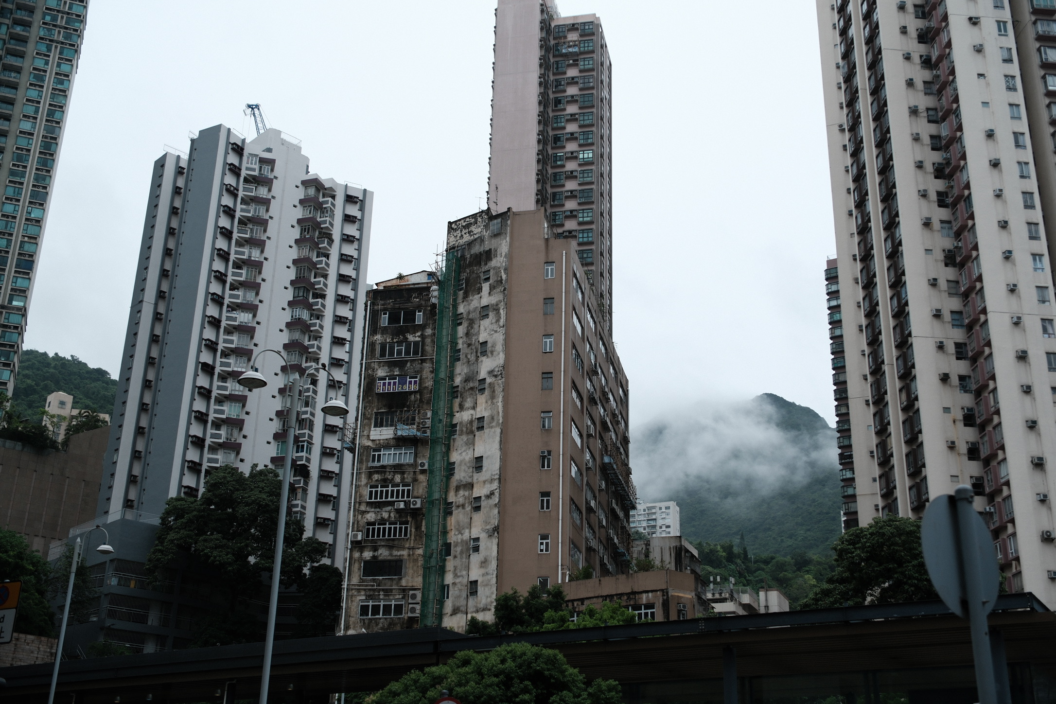 4CAC7B51-BDC9-4D26-A507-0DE00DC23472_1_102_o