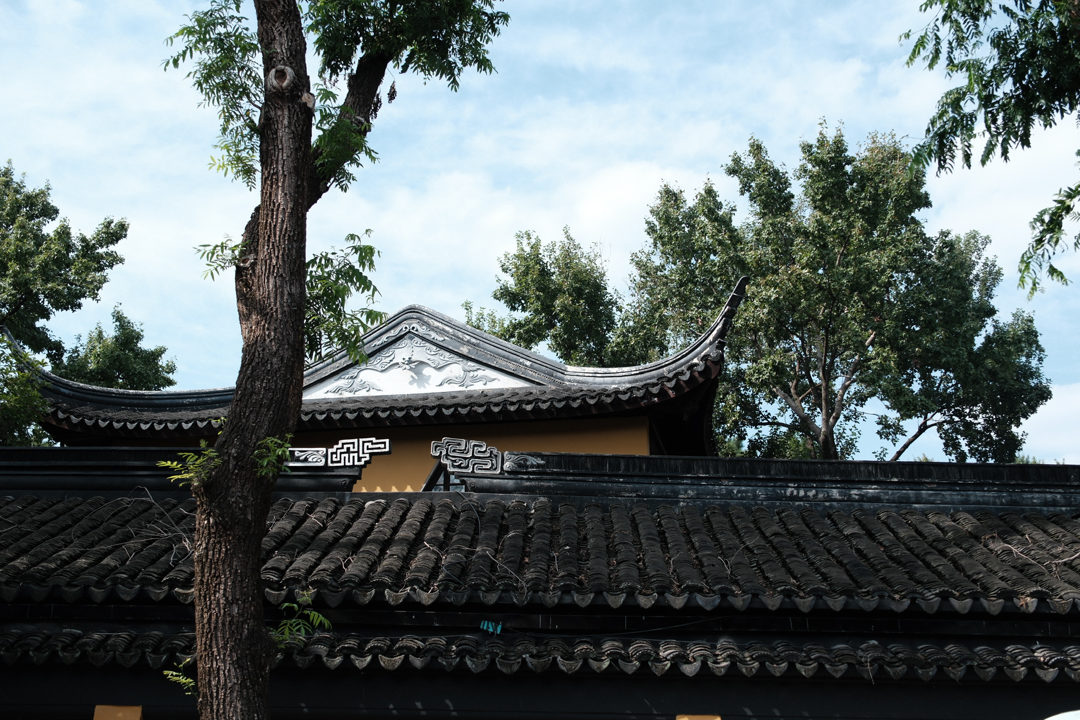 755A15EF-6446-4CF1-8DBD-F24DB44B9193_1_102_o