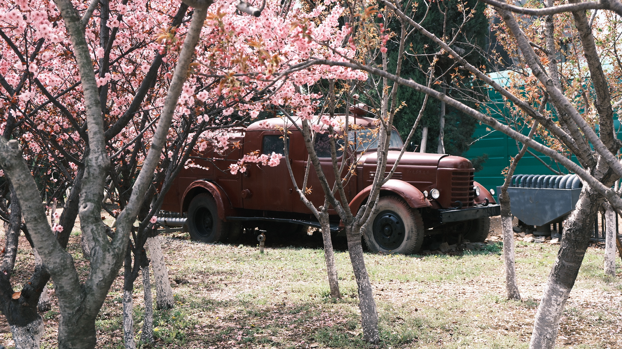 913F46BE-2EF9-4392-B567-70BB1F135632_1_102_o