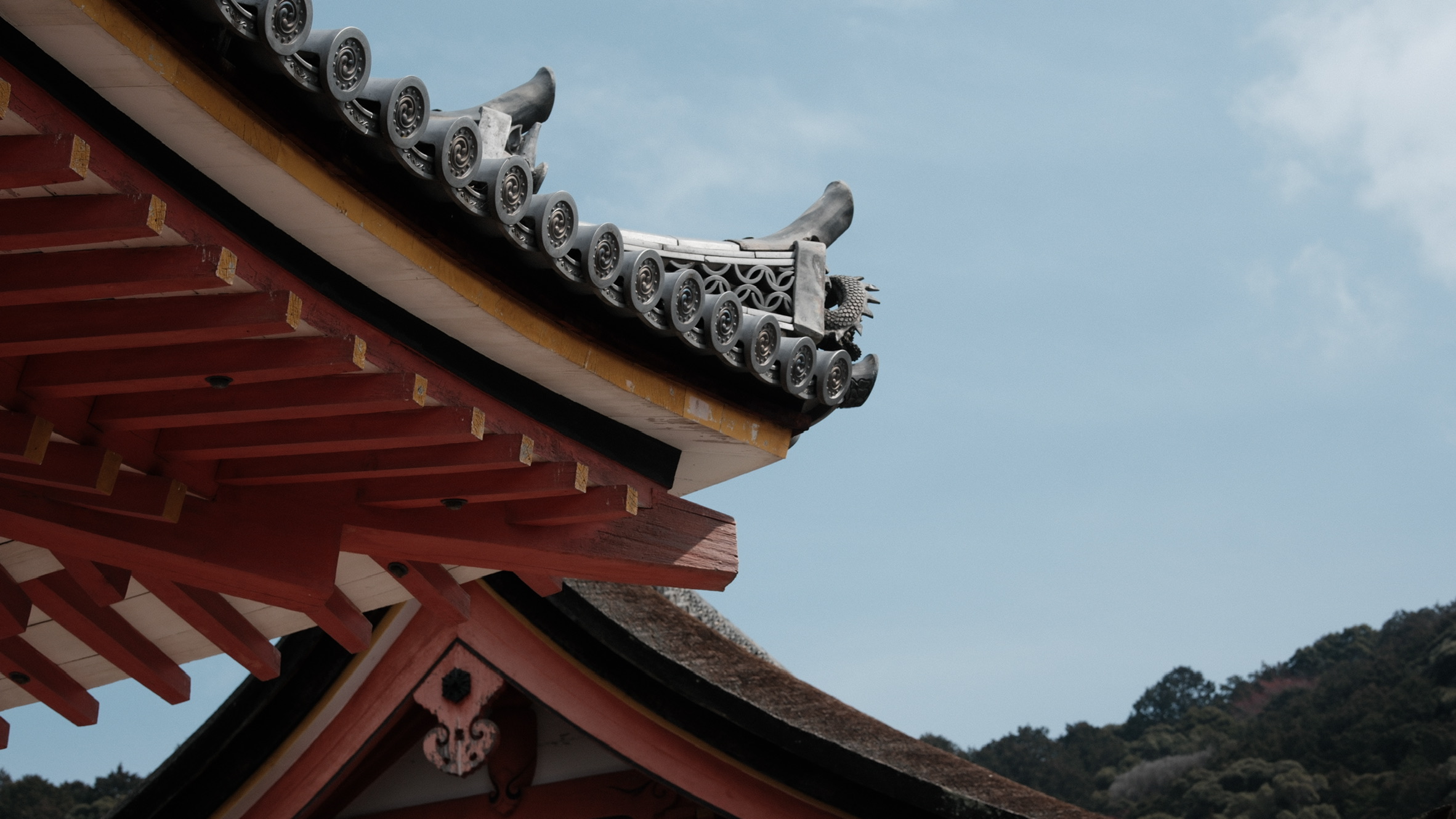 96C873BF-60D8-4167-90EC-52875A518F29_1_102_o
