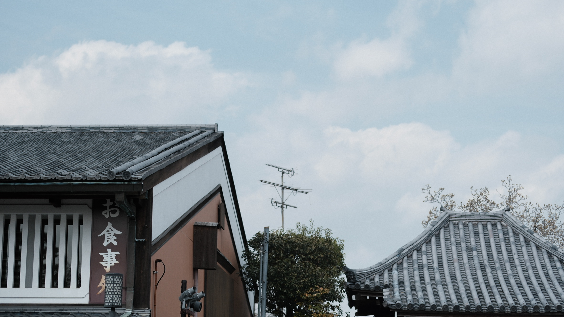 B1099168-ABC9-42E2-AFA5-D7A41A3F0982_1_102_o