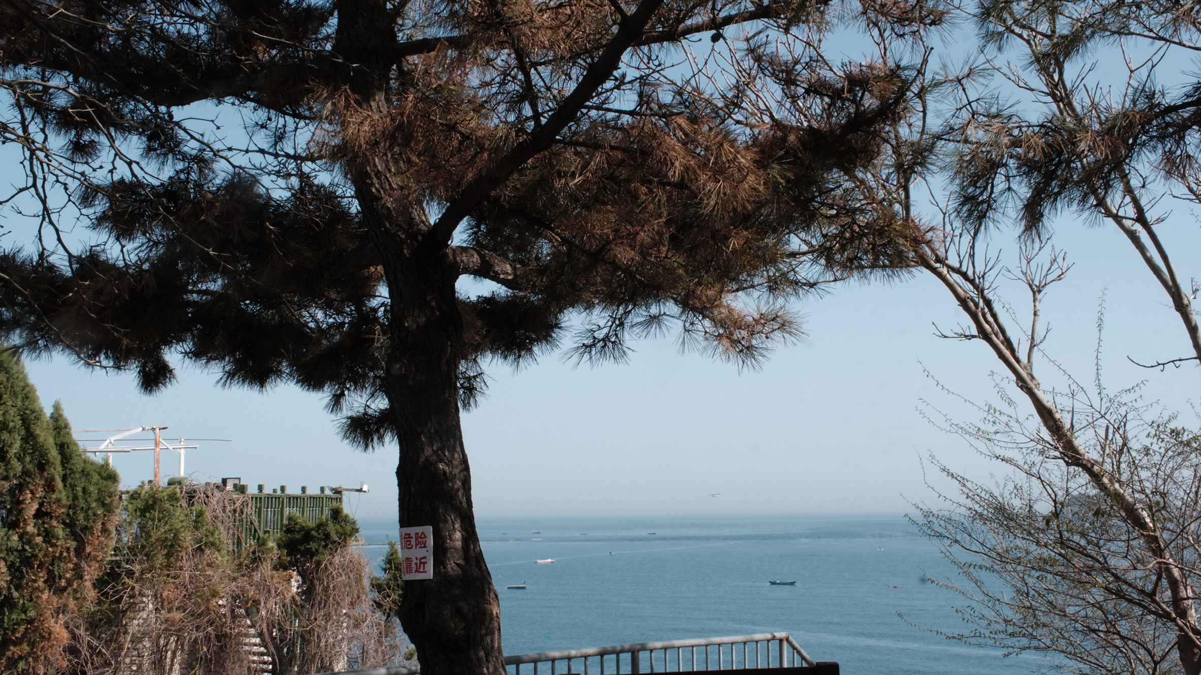 D7623927-F828-418A-99C2-E32EEF17A39D_1_102_o