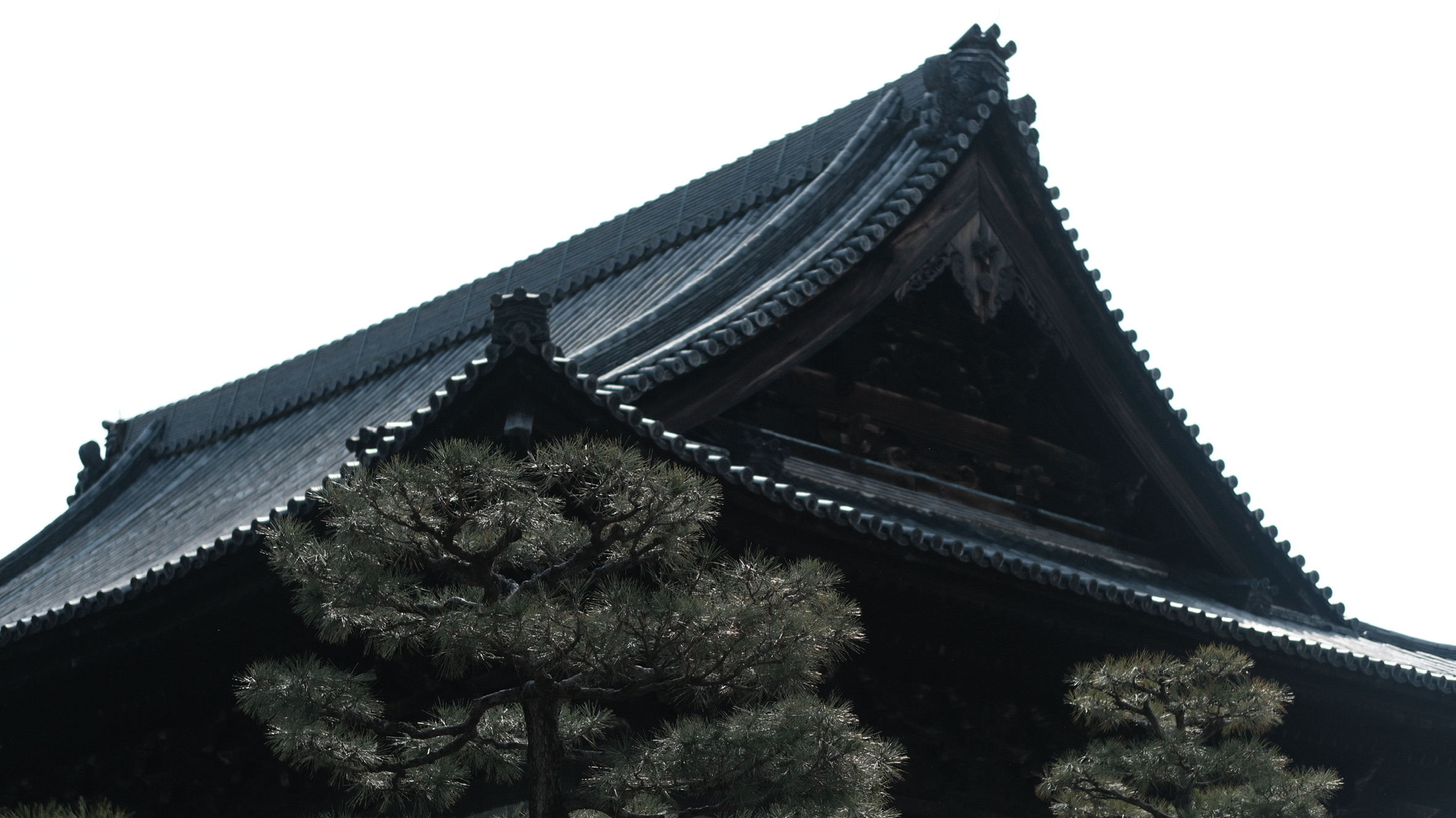D81F8CAA-93B4-441D-94BA-4201E3CE1F51_1_102_o
