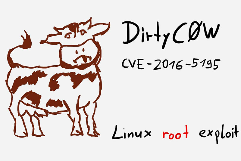 CVE-2016-5195(Dirty Cow) Remake