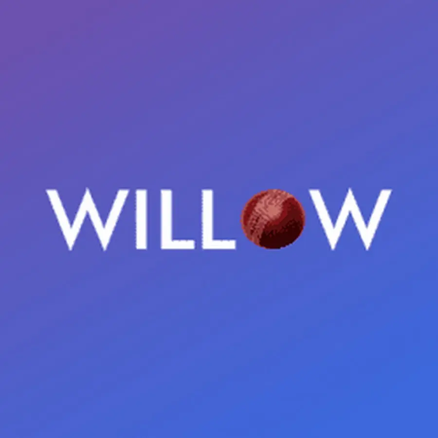 Willow Cricket