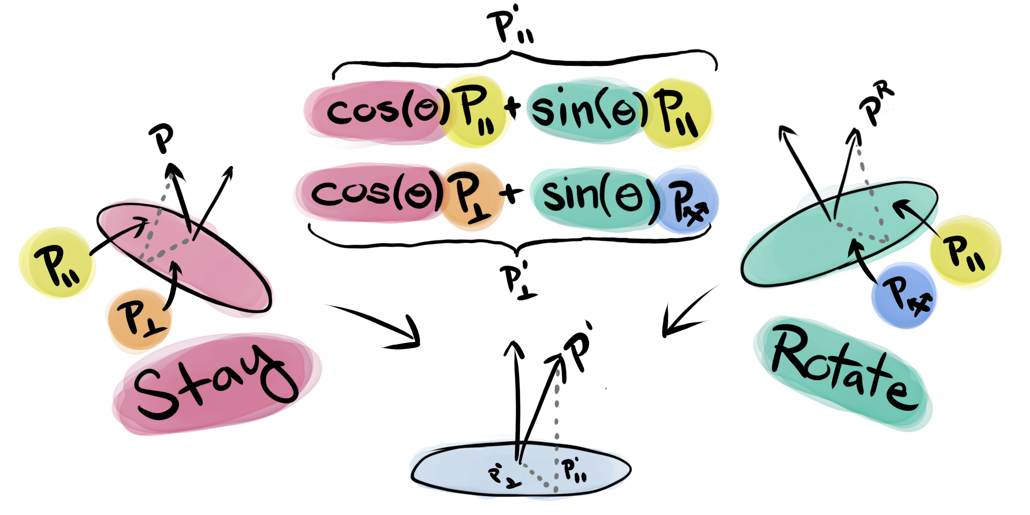 The components of a 3d rotation action.