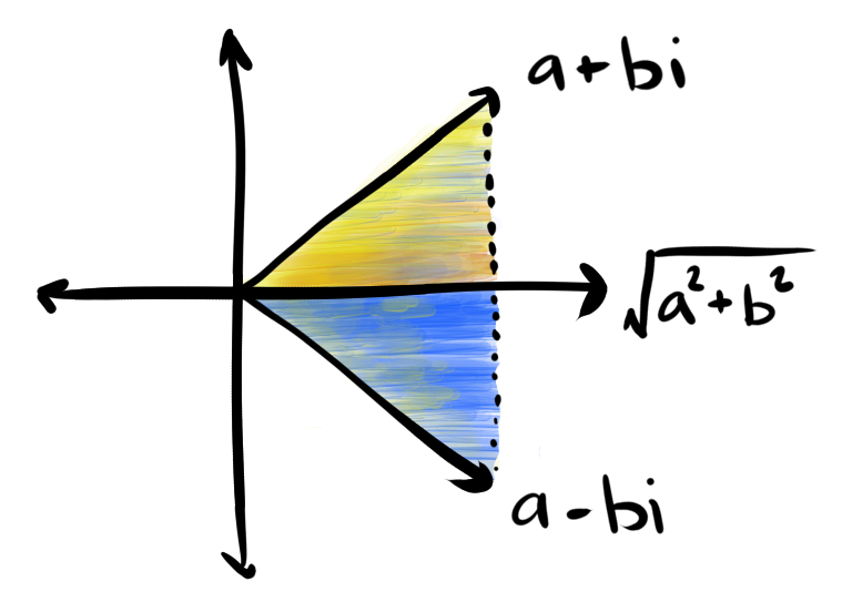 The complex conjugate.