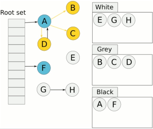 图片引用自维基百科