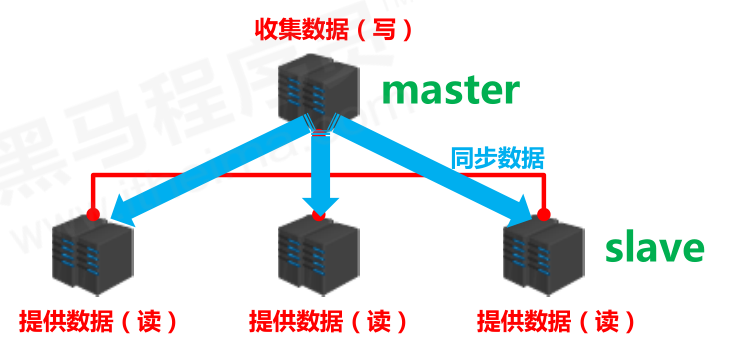 主从_01