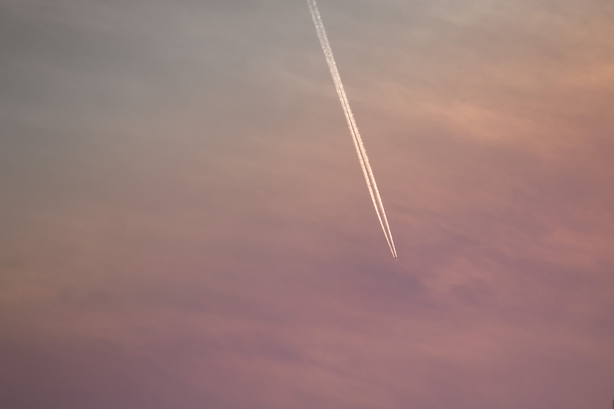 P1013290