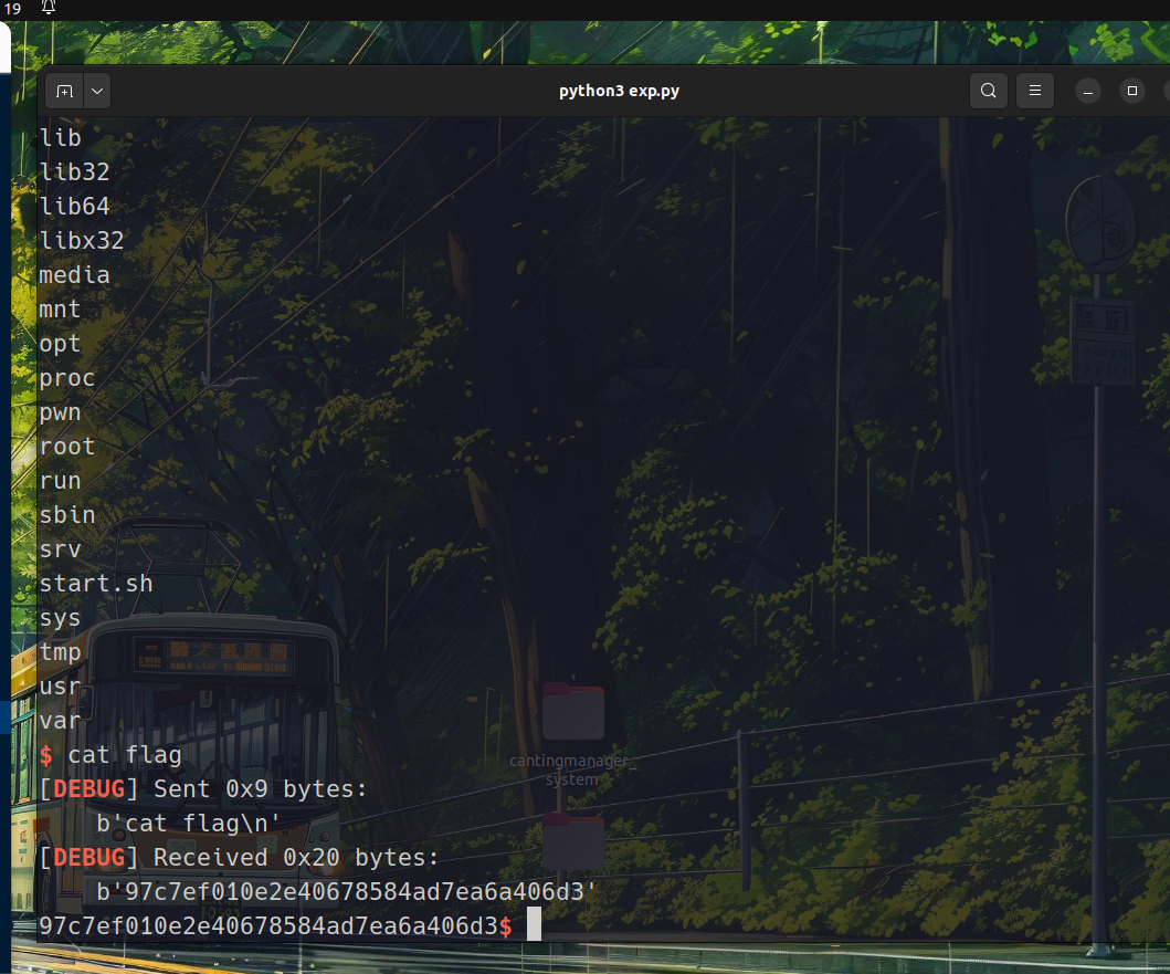 image-20251213181947809