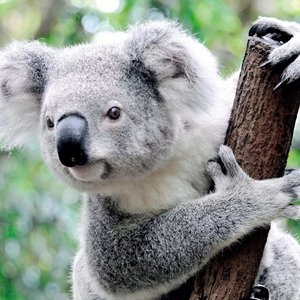 Llama1-3 🦙：从一道美团大模型面试题讲起