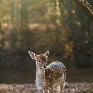 一块旧时代的墓志铭：大数据、区块链、元宇宙