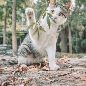 2025年终杂谈：好像今年，也没那么糟