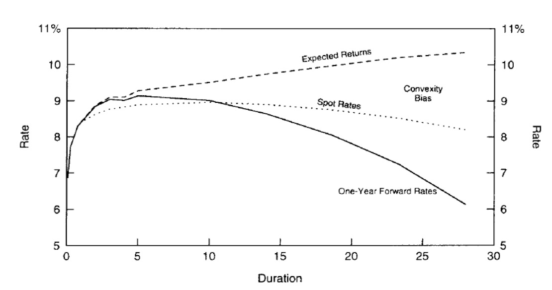 Convexity Bias