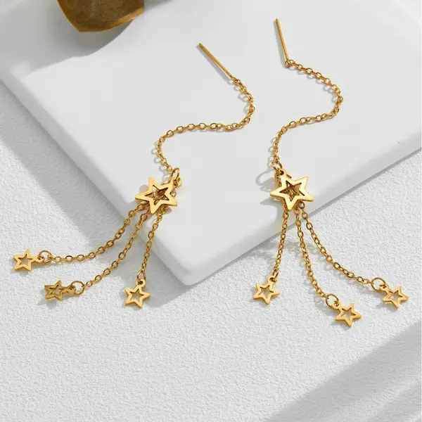 Five pointen starry sky earrings 65