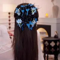 hairclip category icon