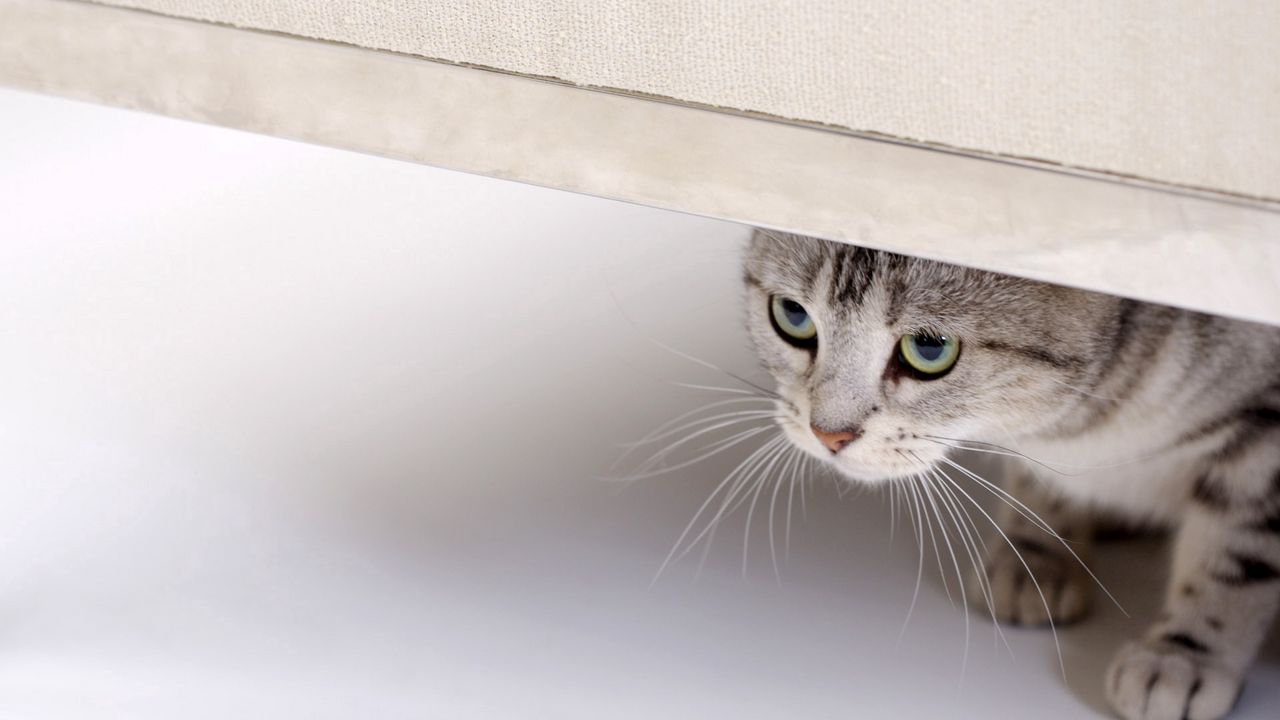 Spring 经典面试题汇总