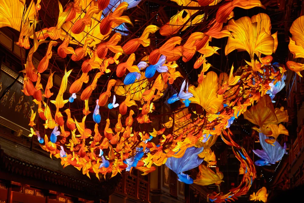 一夜鱼龙舞