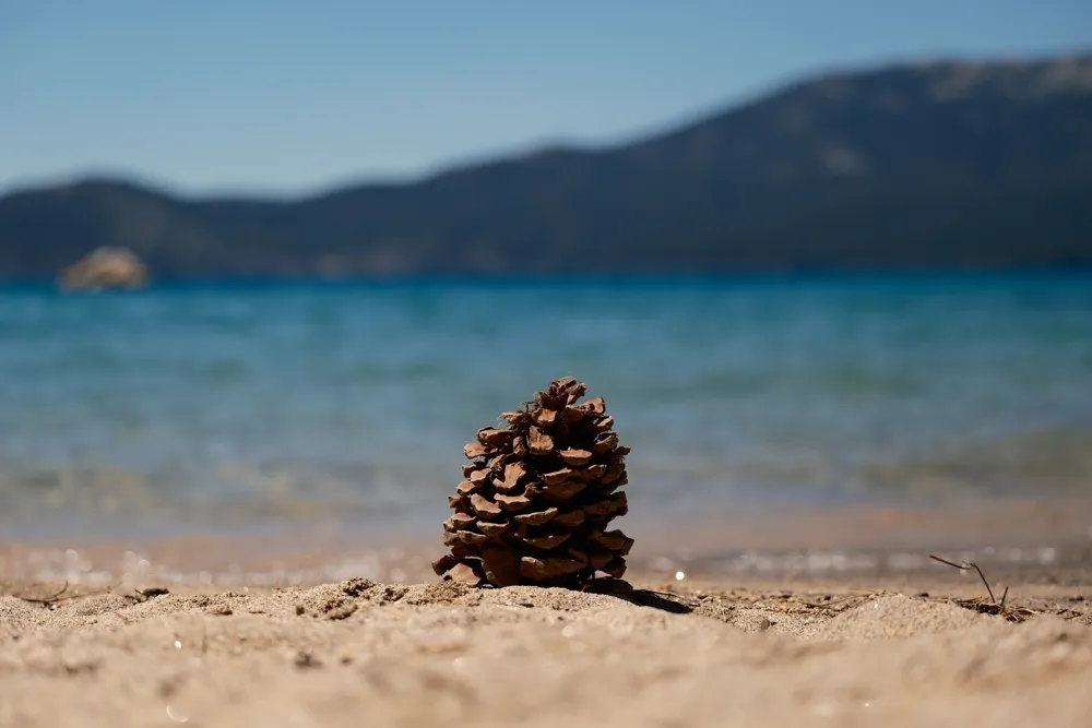 Tahoe Summer