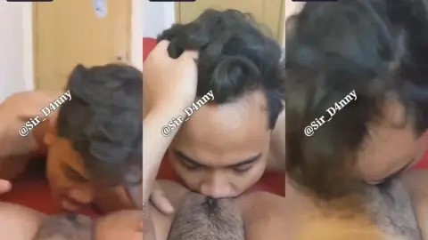 Jilmek Sir dandy pemuas binor