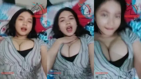 CIMOLLA OLD CONTENT PACK - (30)