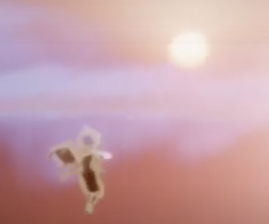 永无在雪隐峰飞起来了