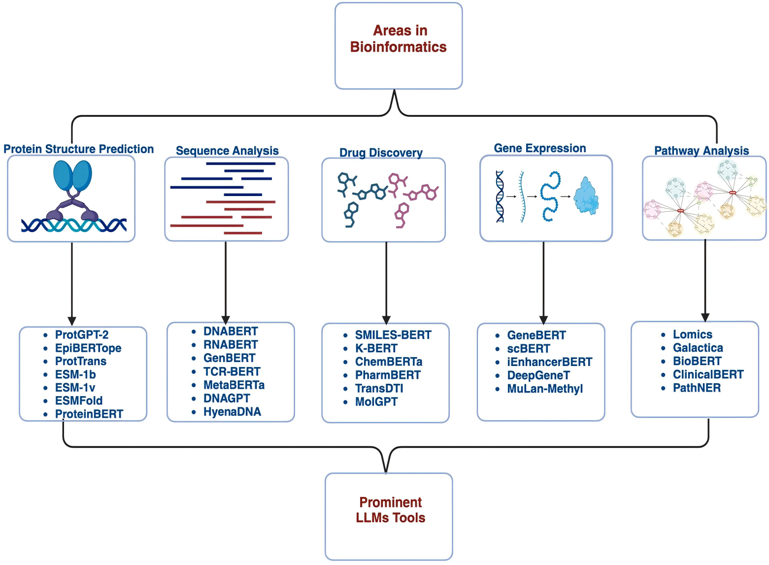 图0 可视化大模型工具，专为提升生物信息学各应用领域的研究效能而开发<sup>[2]</sup>。