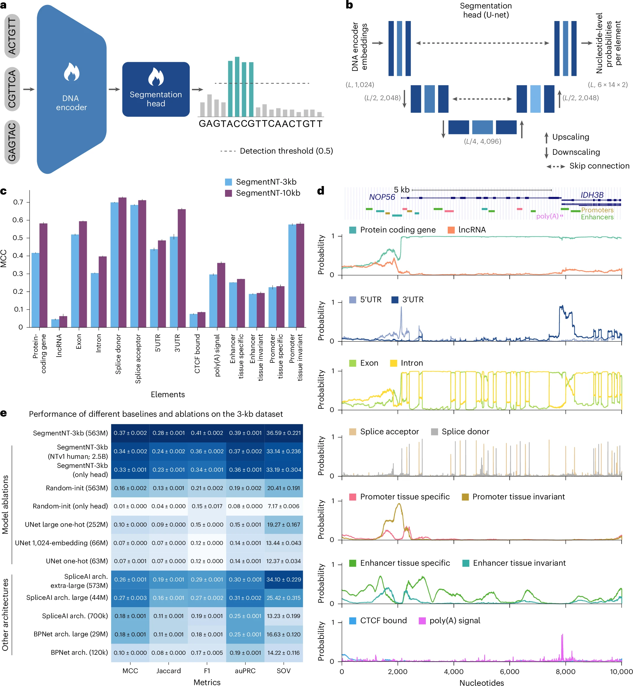 Performance on downstream tasks